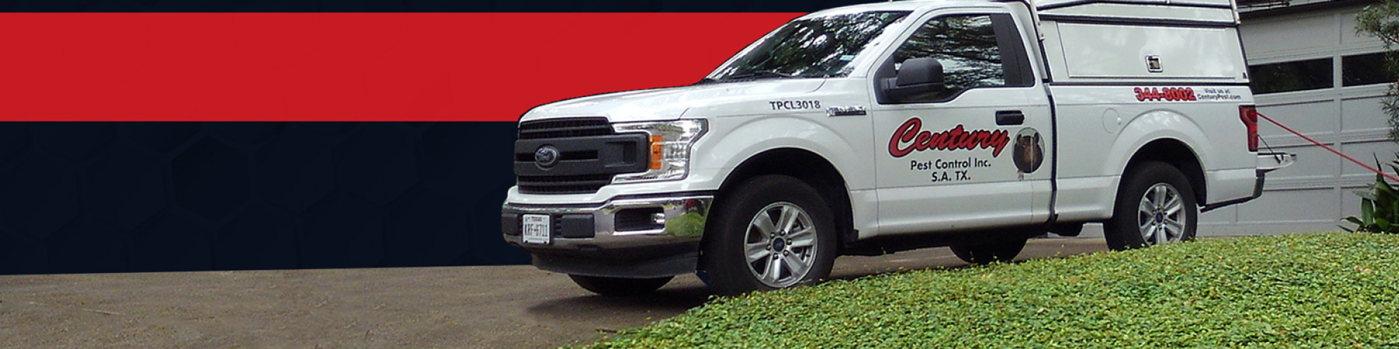 Century Pest Lockhart