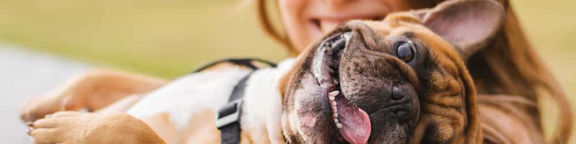 Chatswood Veterinary Clinic