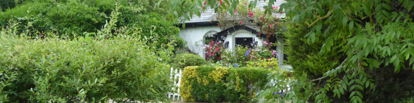 Runnymede Borough Council cover image